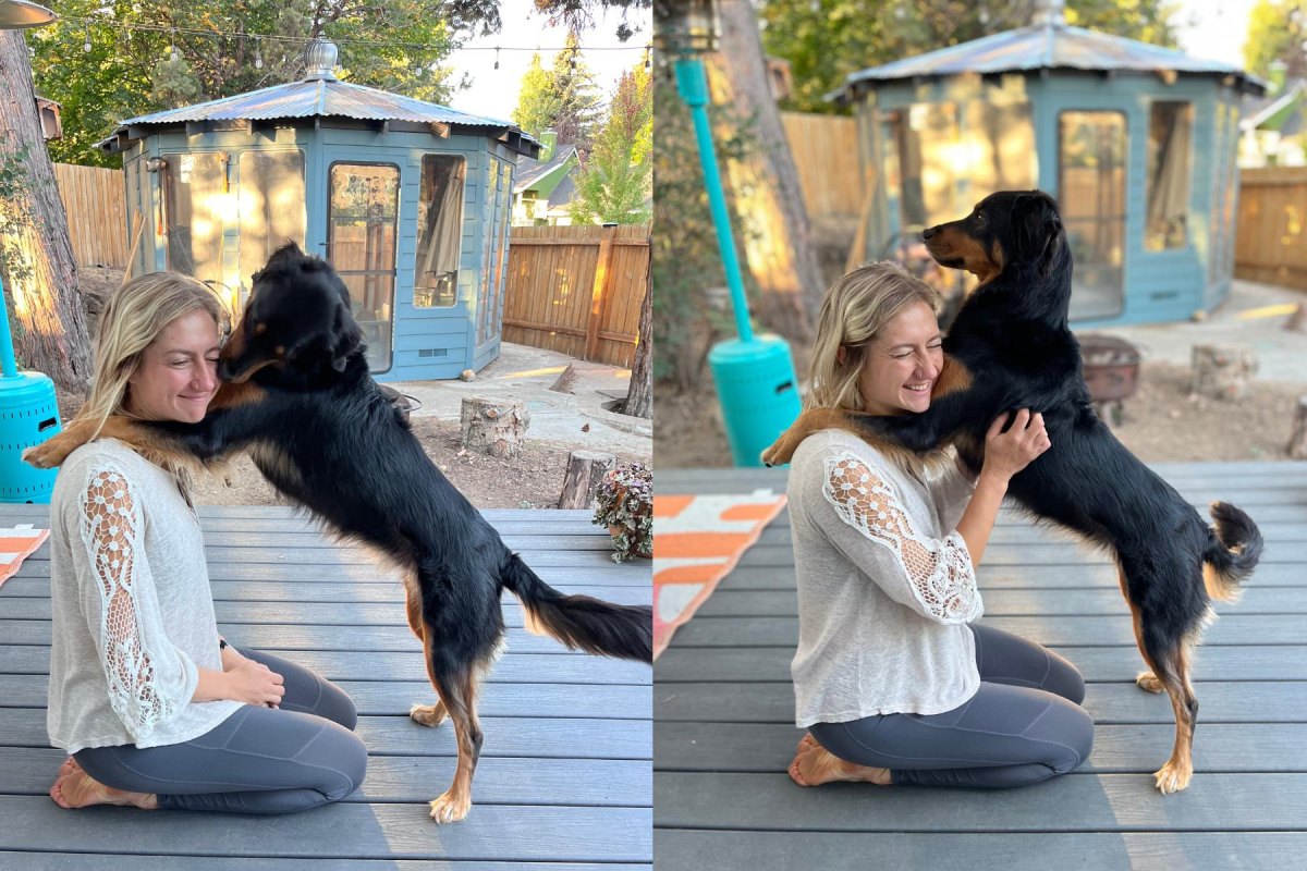 Dog practicing hug trick with treats