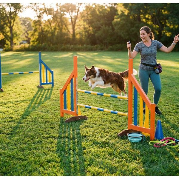 Dog agility training course
