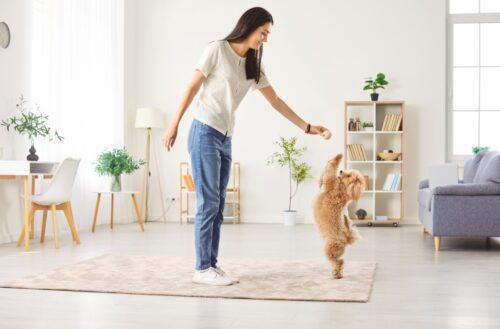 Owner moving while puppy follows