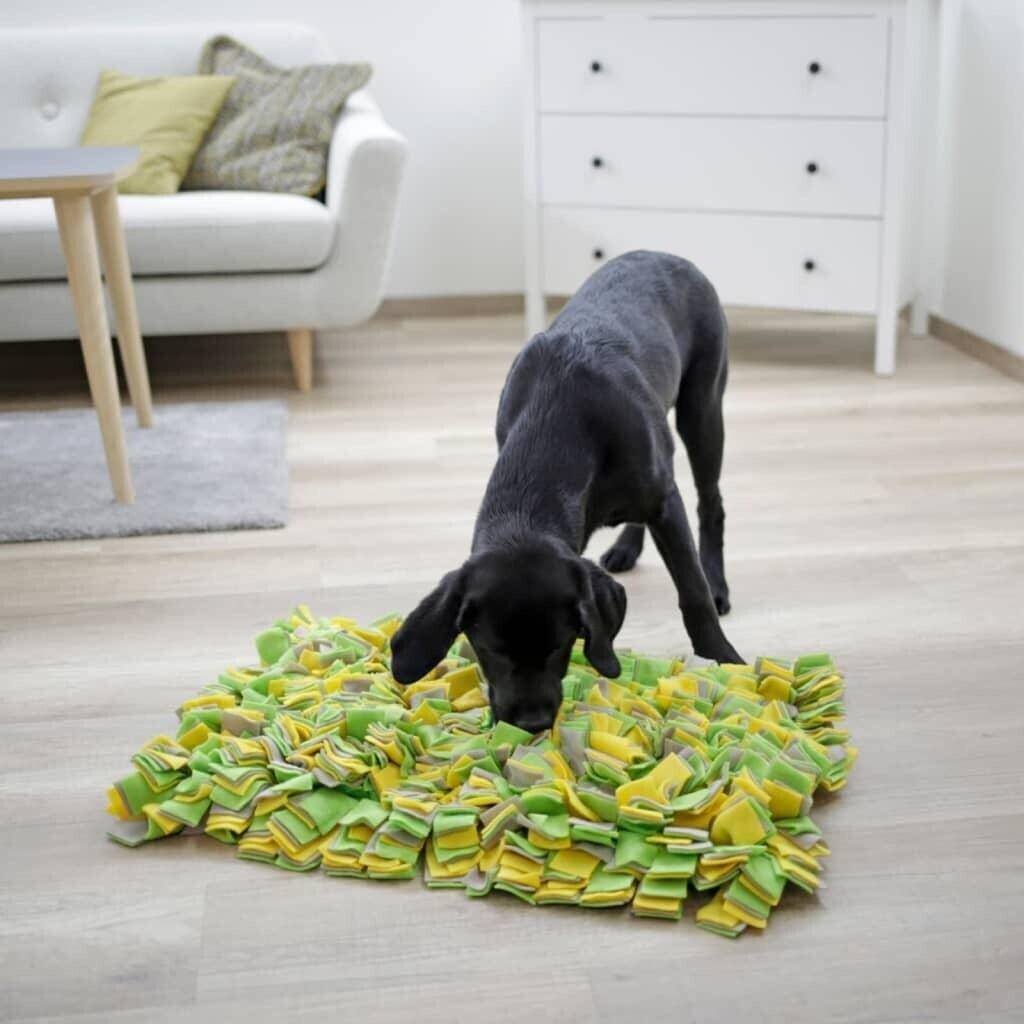 Dog searching snuffle mat indoors