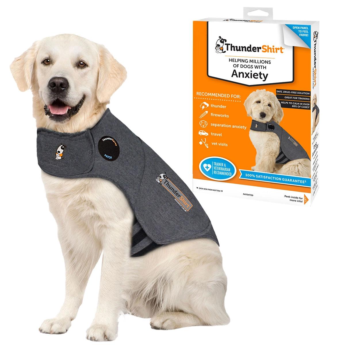 Dog calming options comparison with vest