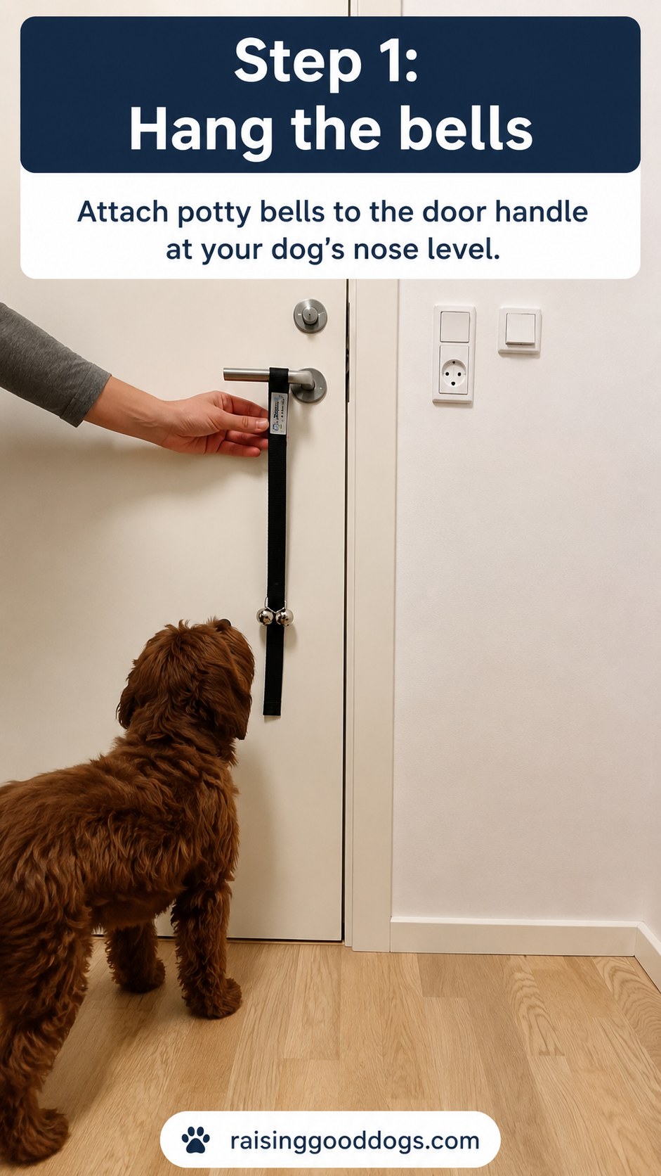 Hand hanging potty bells on a door handle at dog nose height for dog door bell training