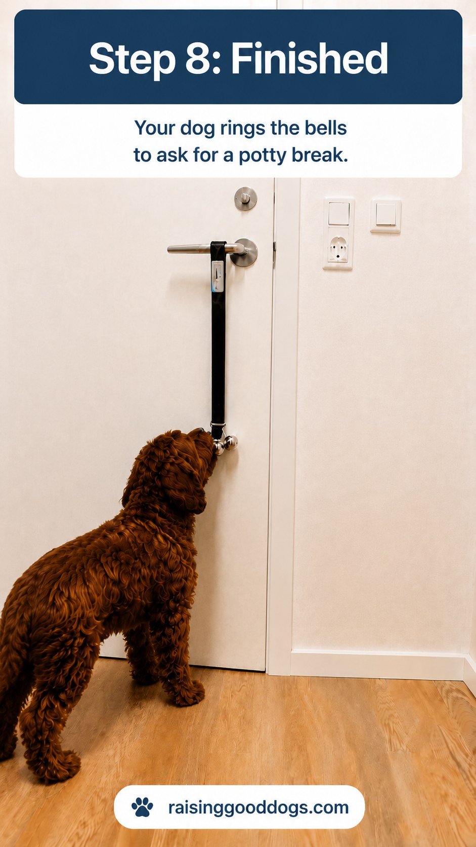 Teaching Your Dog To Ring A Bell For Potty Breaks