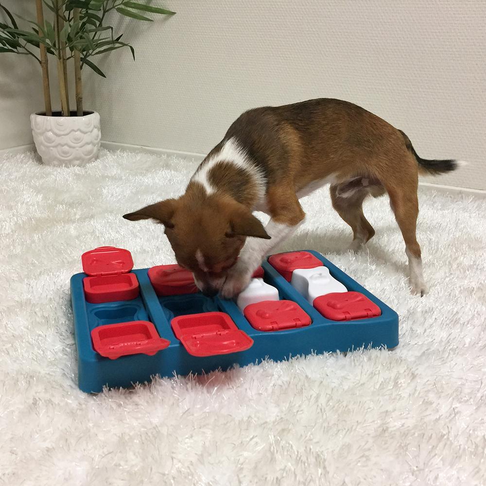 Dog using treat dispensing toy