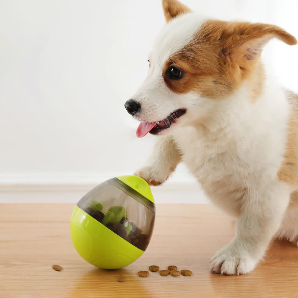 Puppy with food toy