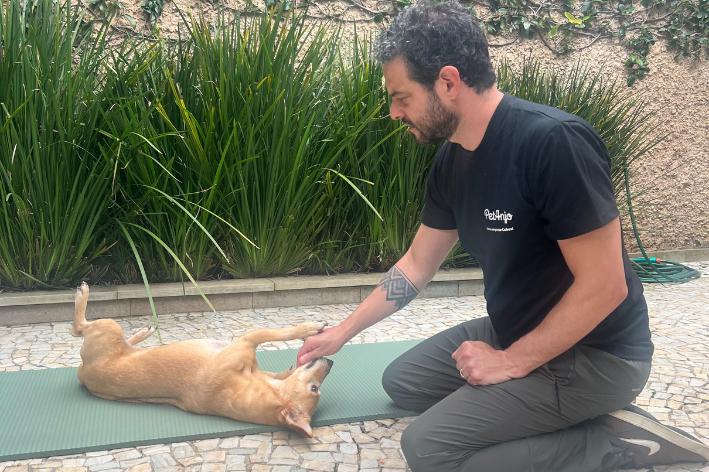 Dog learning roll over with owner