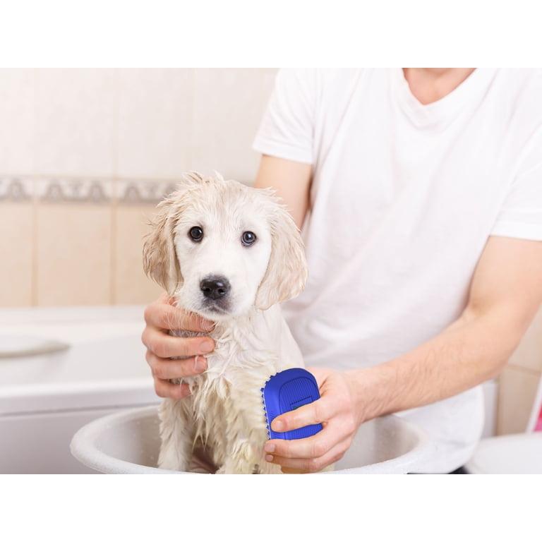 Puppy bath and nail trim