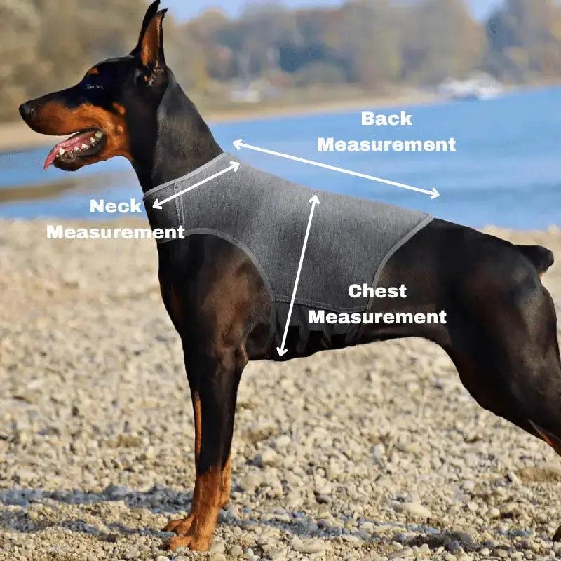 Owner measuring dog for anxiety vest fit