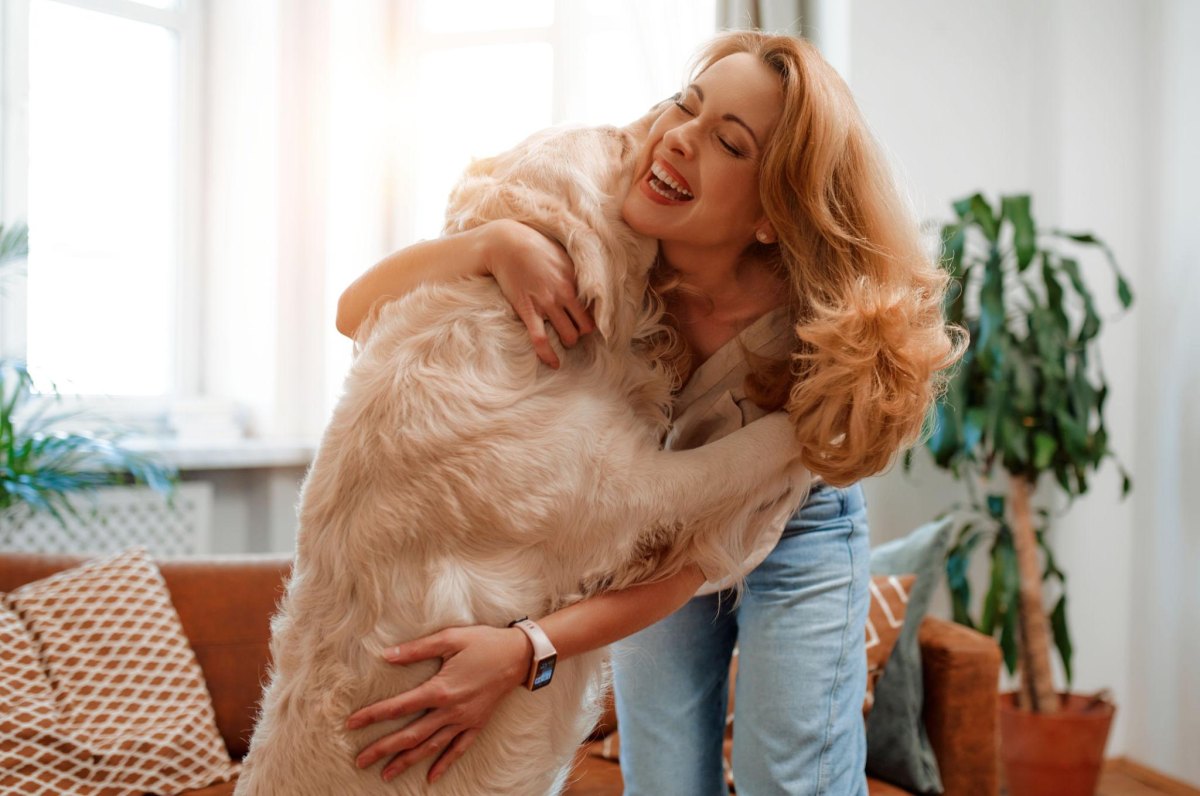 Happy dog holding hug with owner