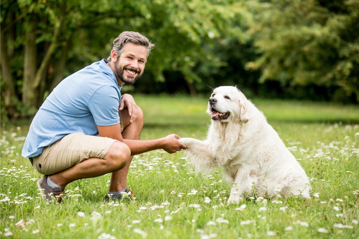 Happy trained dog with owner