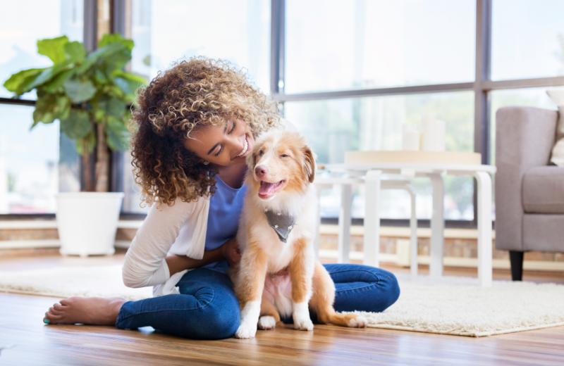 Confident puppy relaxing with owner