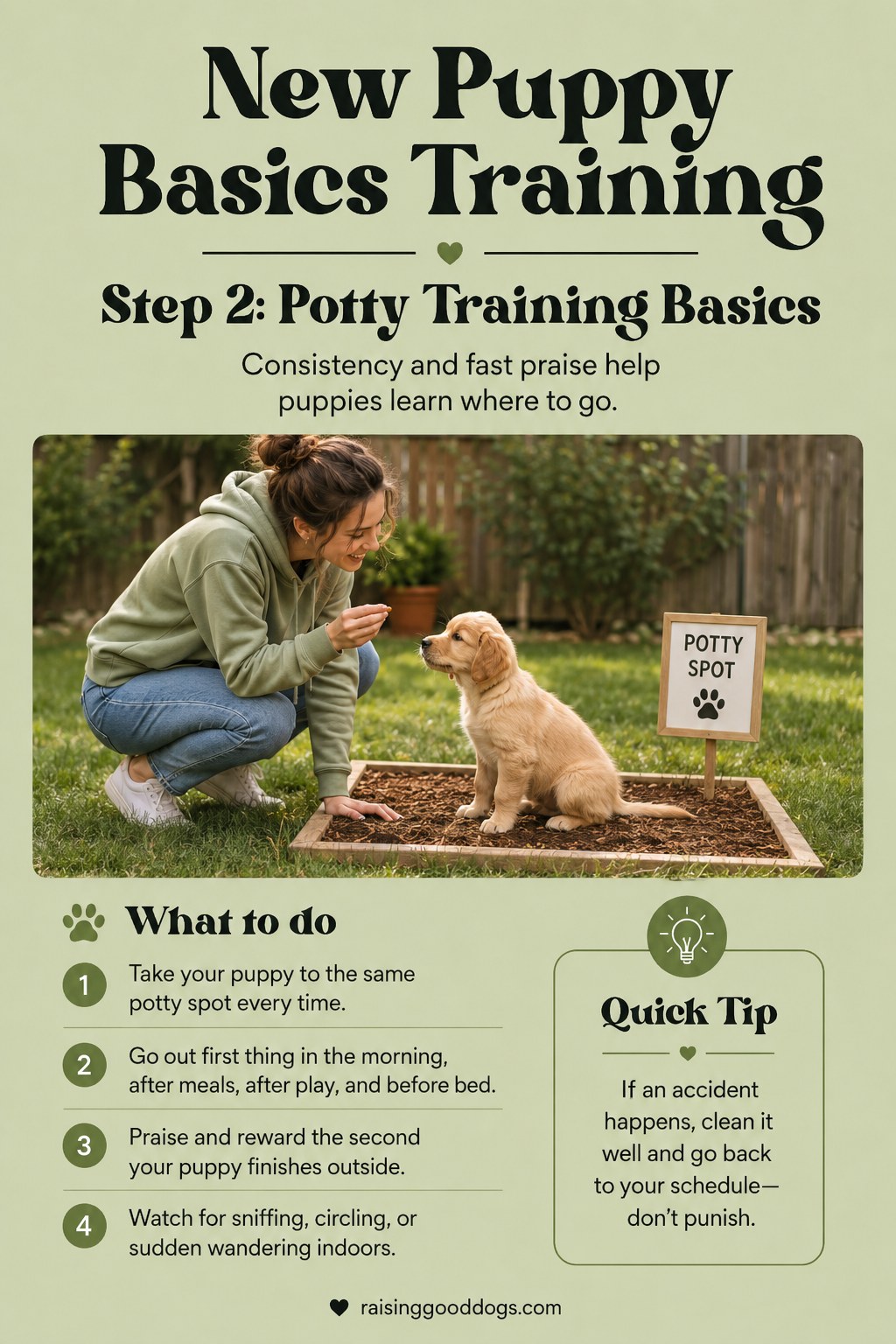 A puppy sits at a marked outdoor spot practicing potty training basics with its owner nearby.