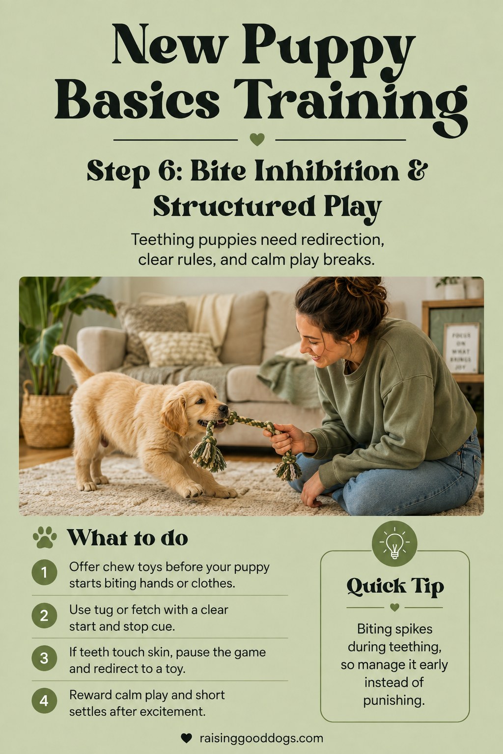 A puppy tugs a rope toy with its owner, practicing bite inhibition through structured play.