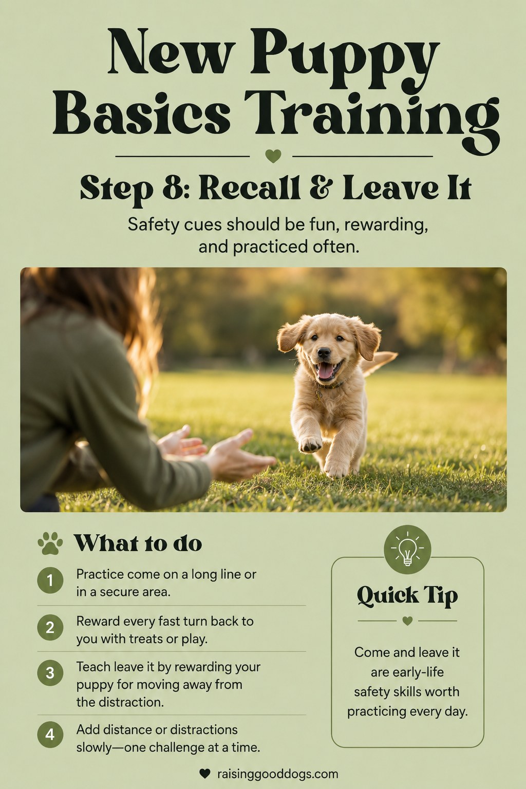 A puppy runs across a grassy field toward its owner while practicing recall training outdoors.
