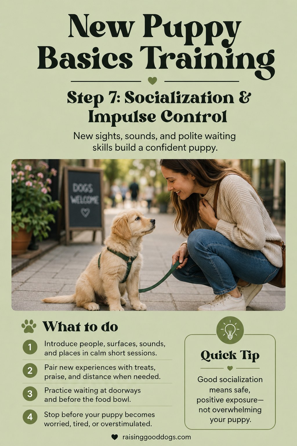 A puppy sits calmly on a leash outside a café storefront, practicing socialization and impulse control.