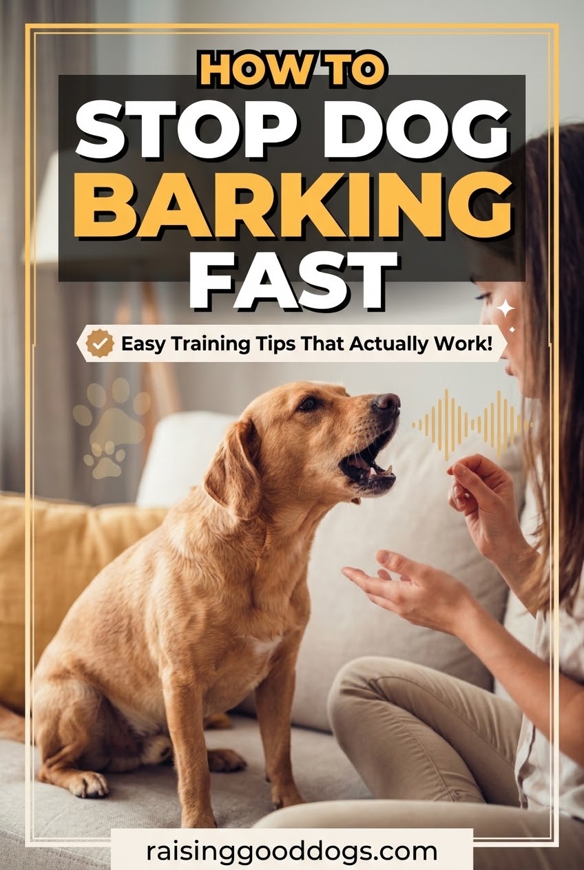 How to Stop Dog Barking Fast
