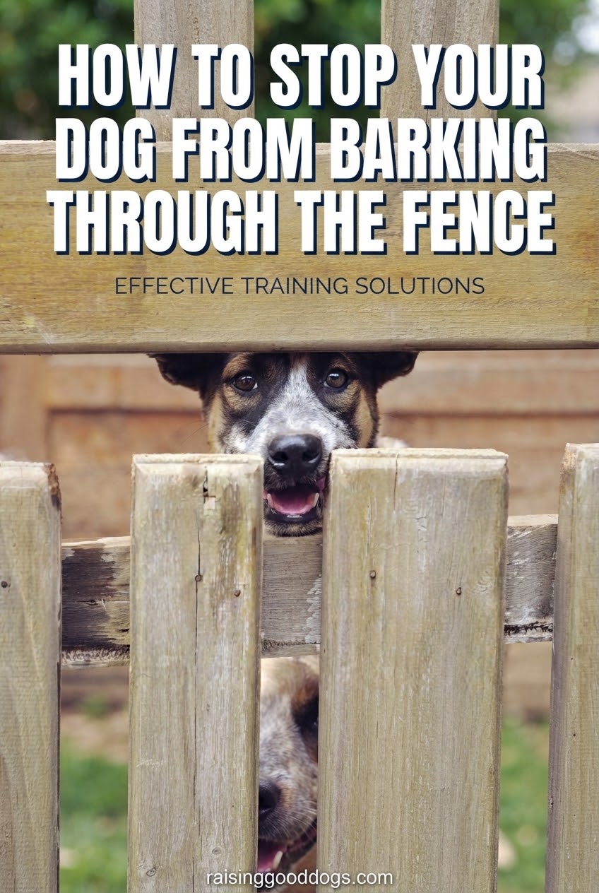 How to Stop Your Dog From Barking Through the Fence