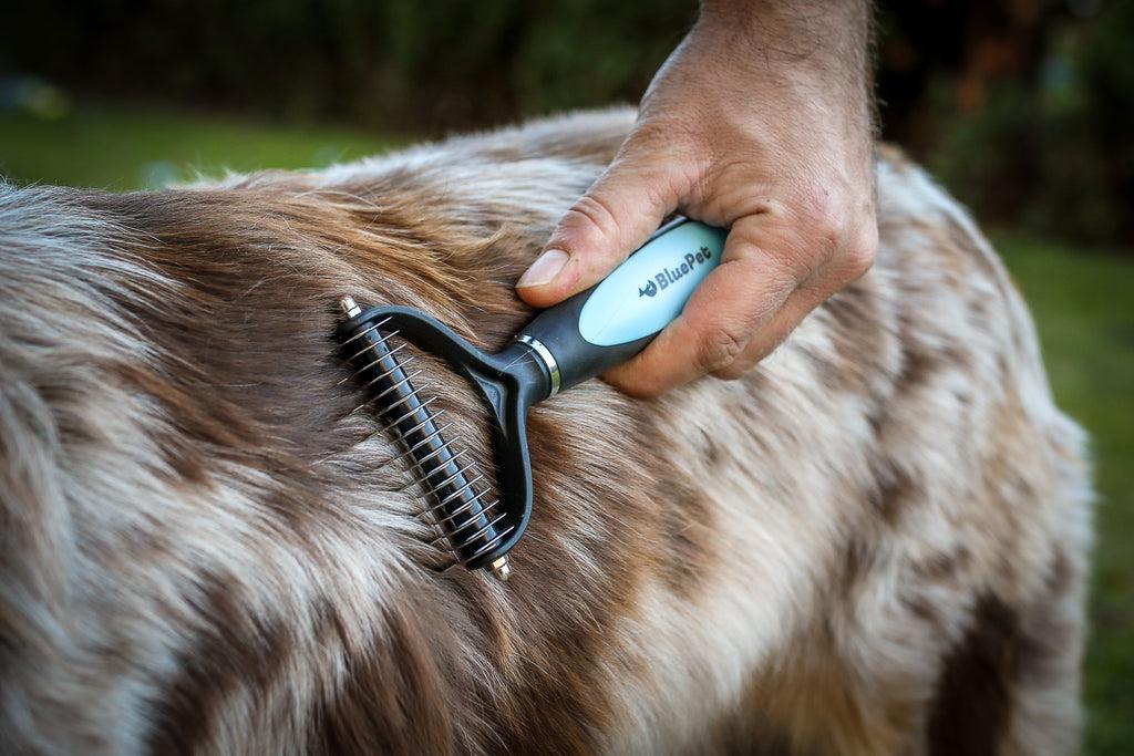 Long haired dog grooming with rake