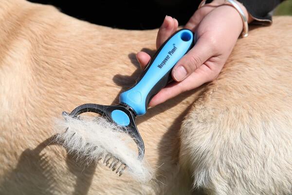Best Pet Grooming Rake for Removing Loose Fur