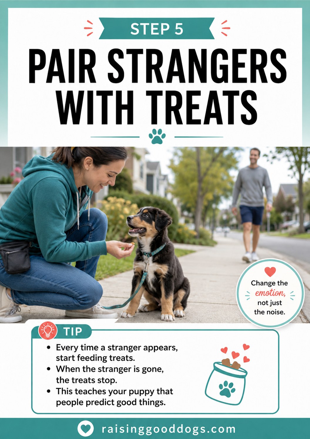 A puppy on a leash receives treats the moment a stranger walks past on the sidewalk