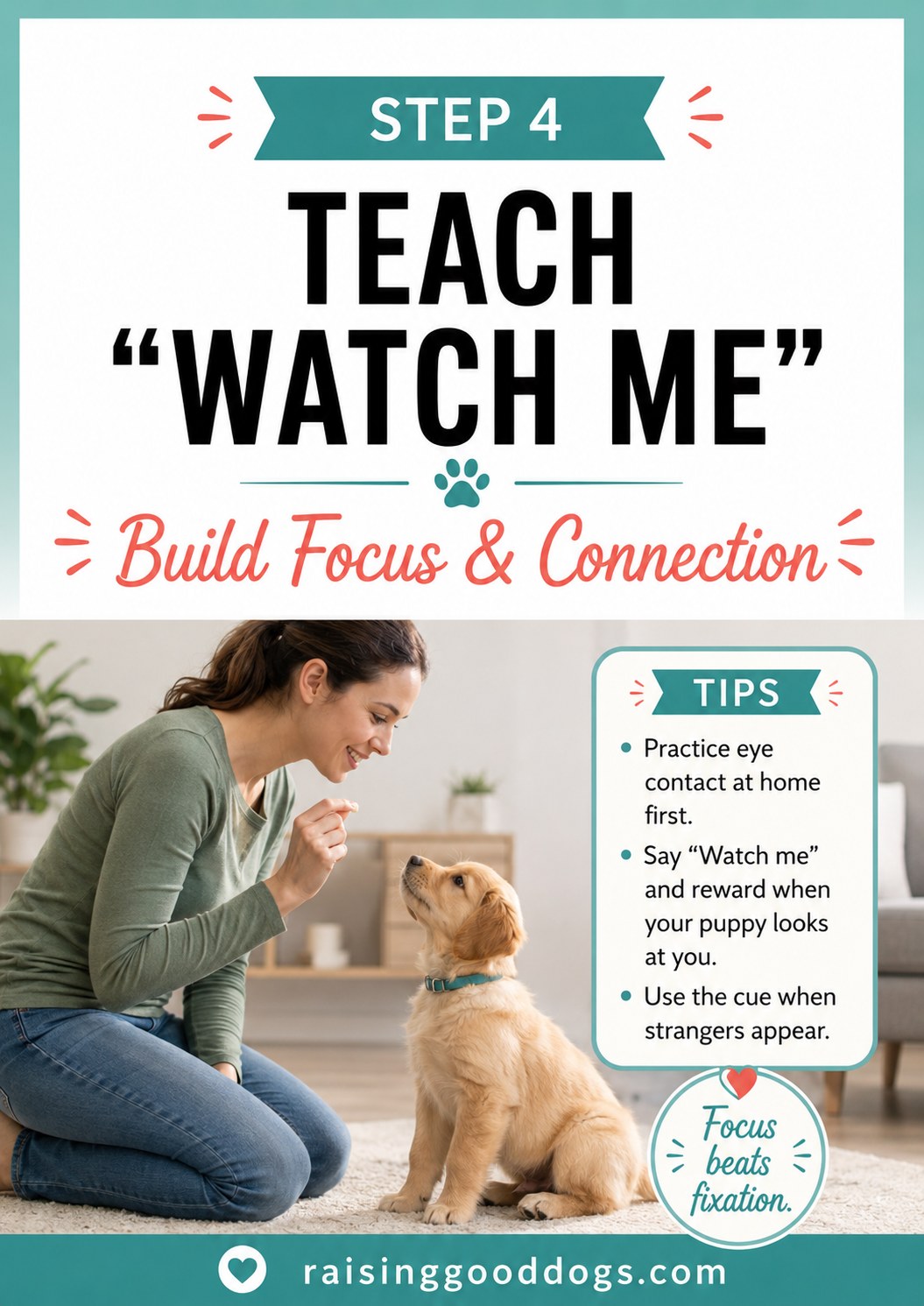 A trainer teaches her puppy the watch me cue to build focus before strangers come into view