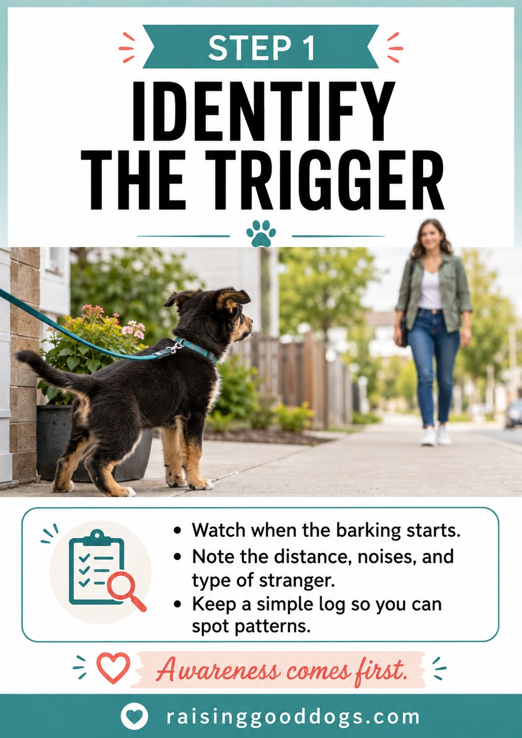A puppy on leash near flowers watches a stranger approach, illustrating step one of identifying the trigger