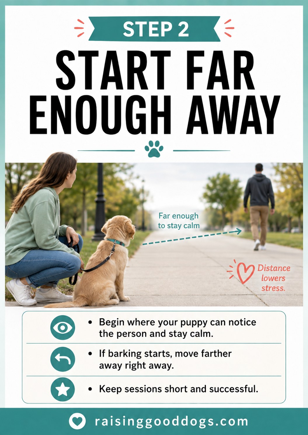A trainer keeps her puppy calm at a safe distance from an approaching stranger during a training session