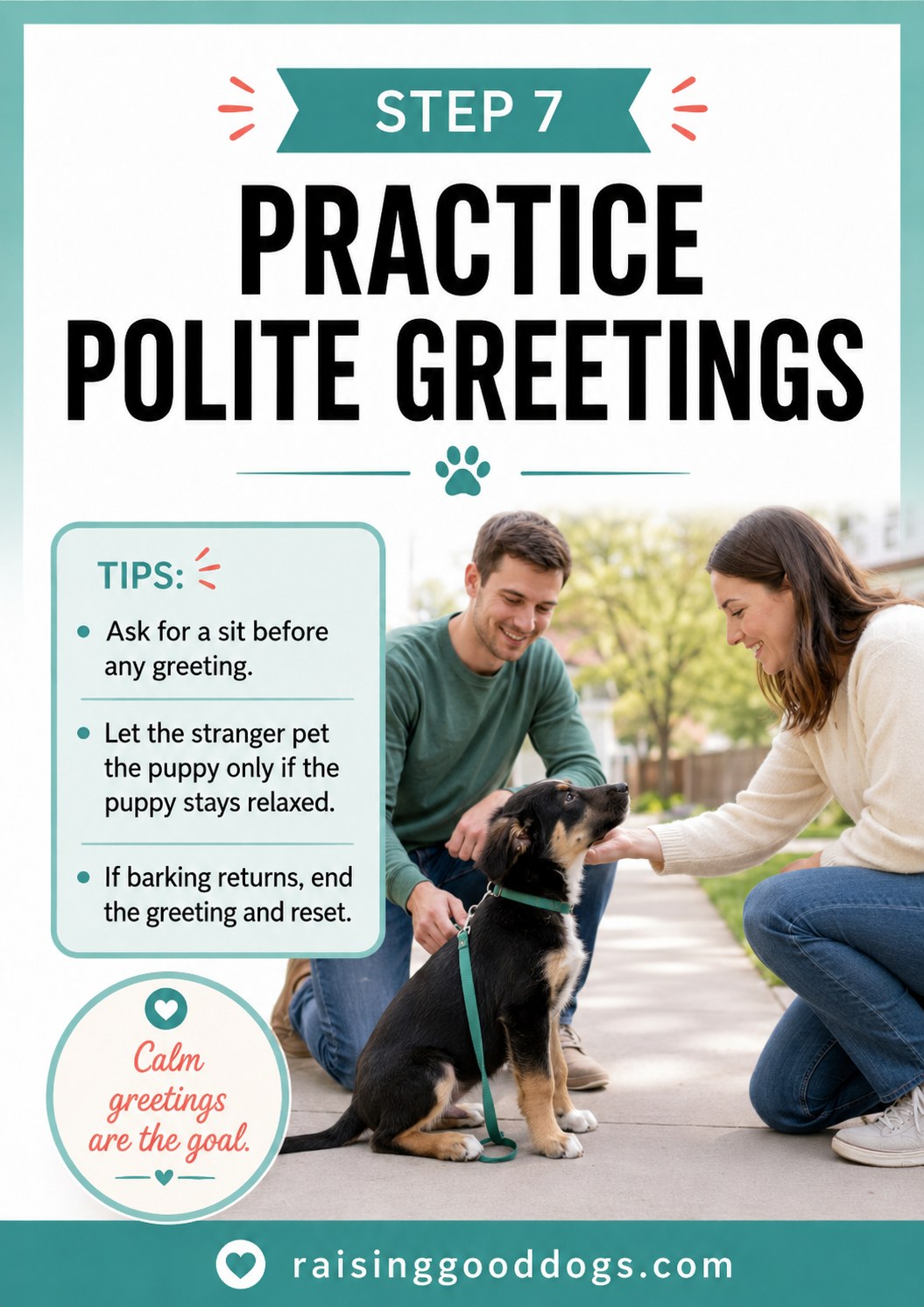 A puppy sits politely for a stranger's gentle greeting during a controlled practice session