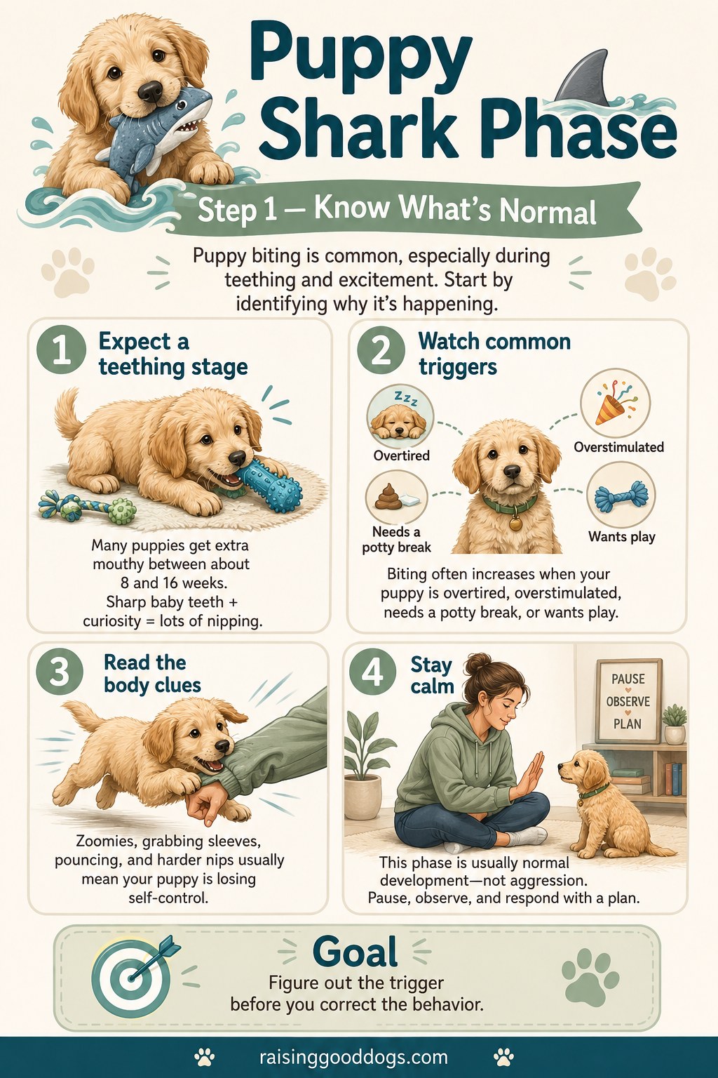 5 Steps To Survive The Puppy Shark Phase