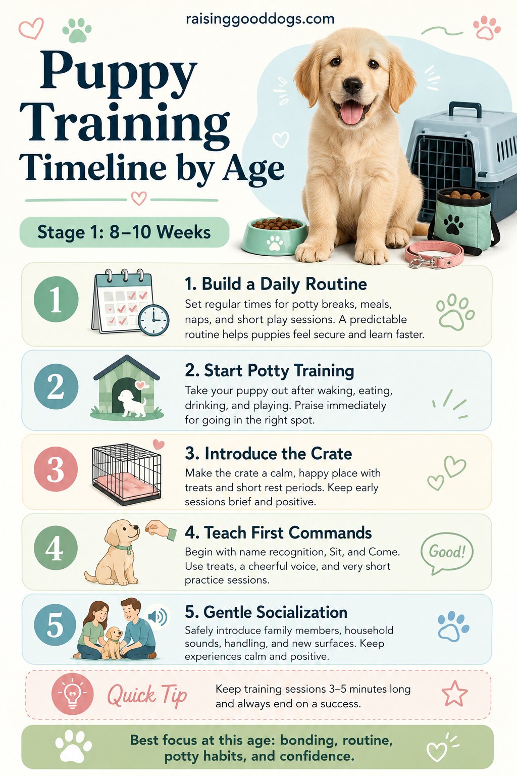 5 Puppy Training Checkpoints By Age That Actually Hold Up
