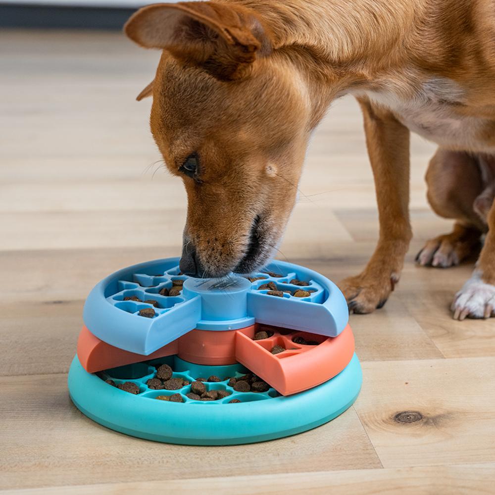 Dog using puzzle feeder toy