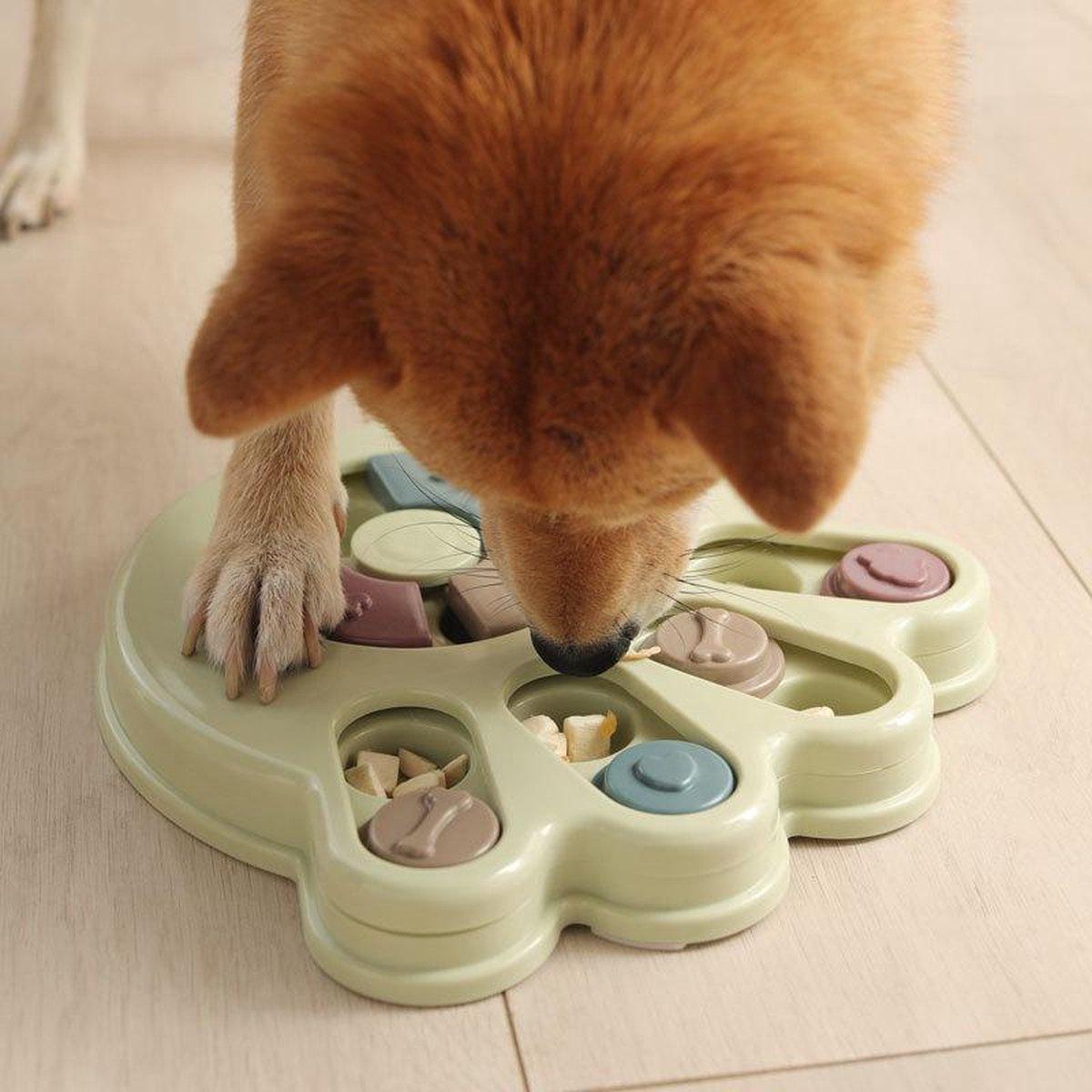Dog using puzzle toy