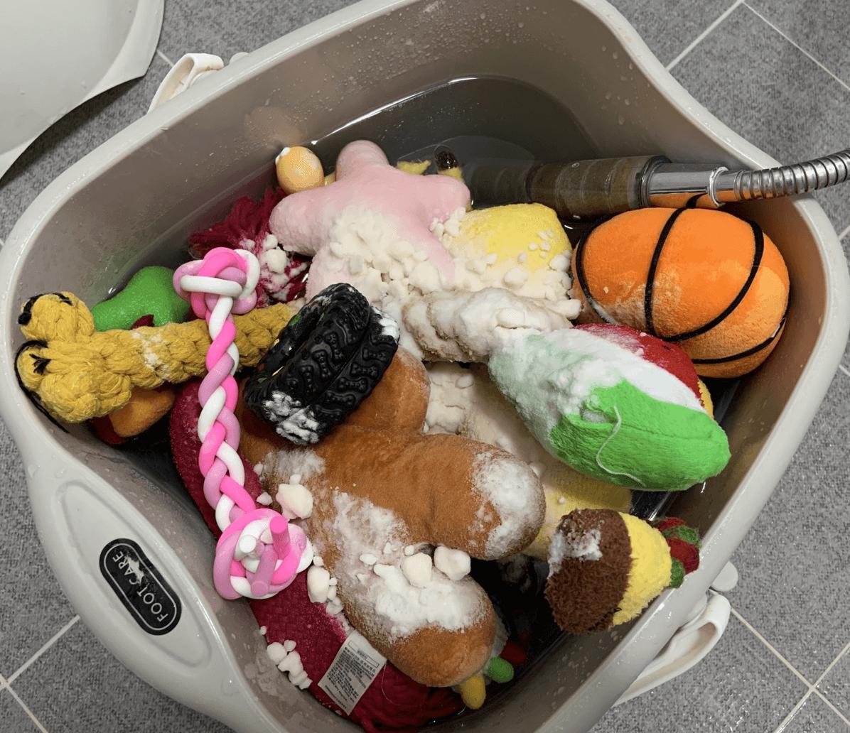 Removing fur from puppy gear