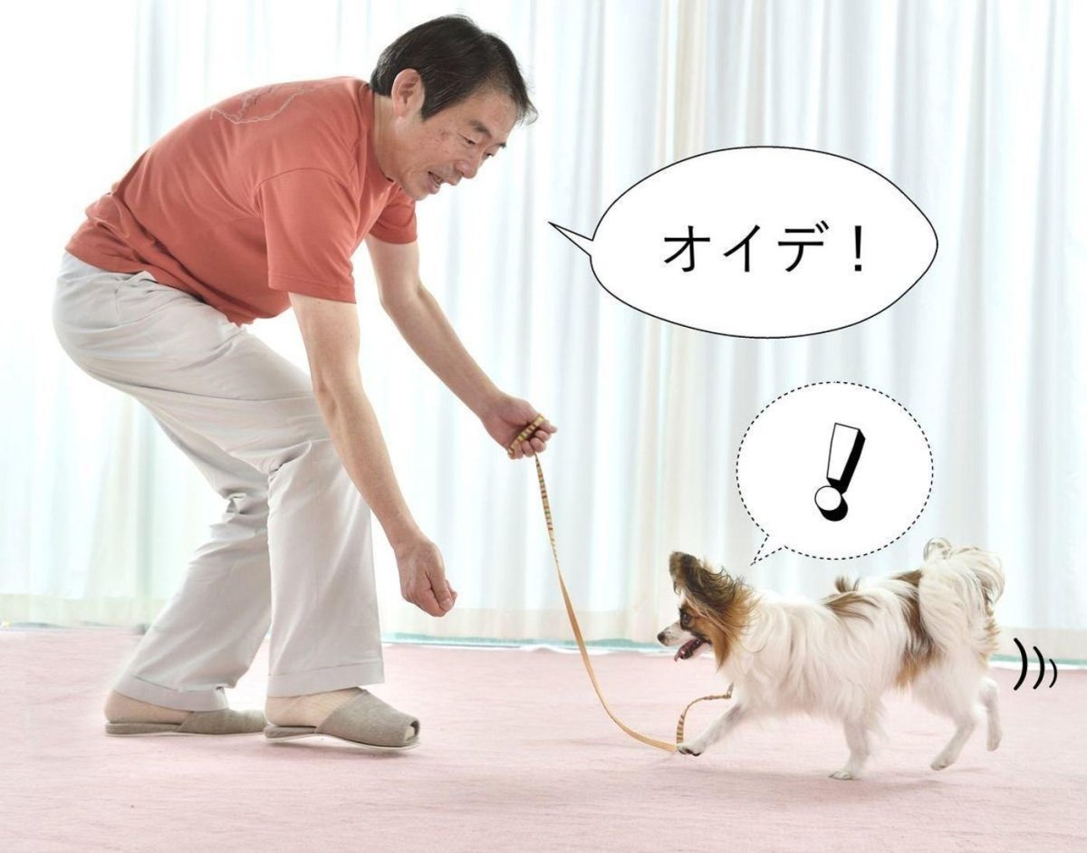 Owner repeatedly calling dog outdoors