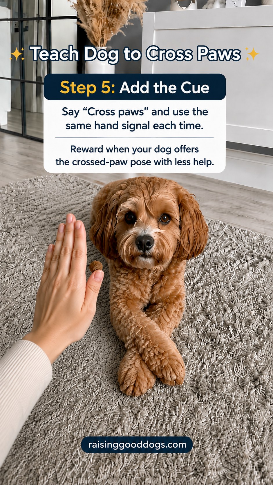Trainer using a consistent hand signal to add a verbal cue to the cross-paws trick