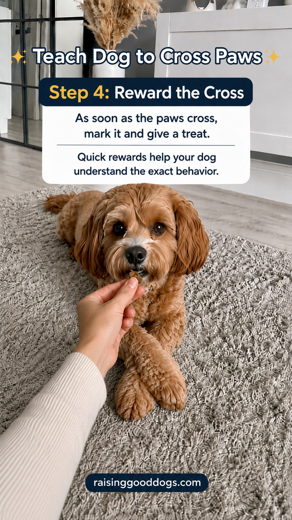 Treat delivered exactly as the paws cross, rewarding the dog mid cross-paws trick