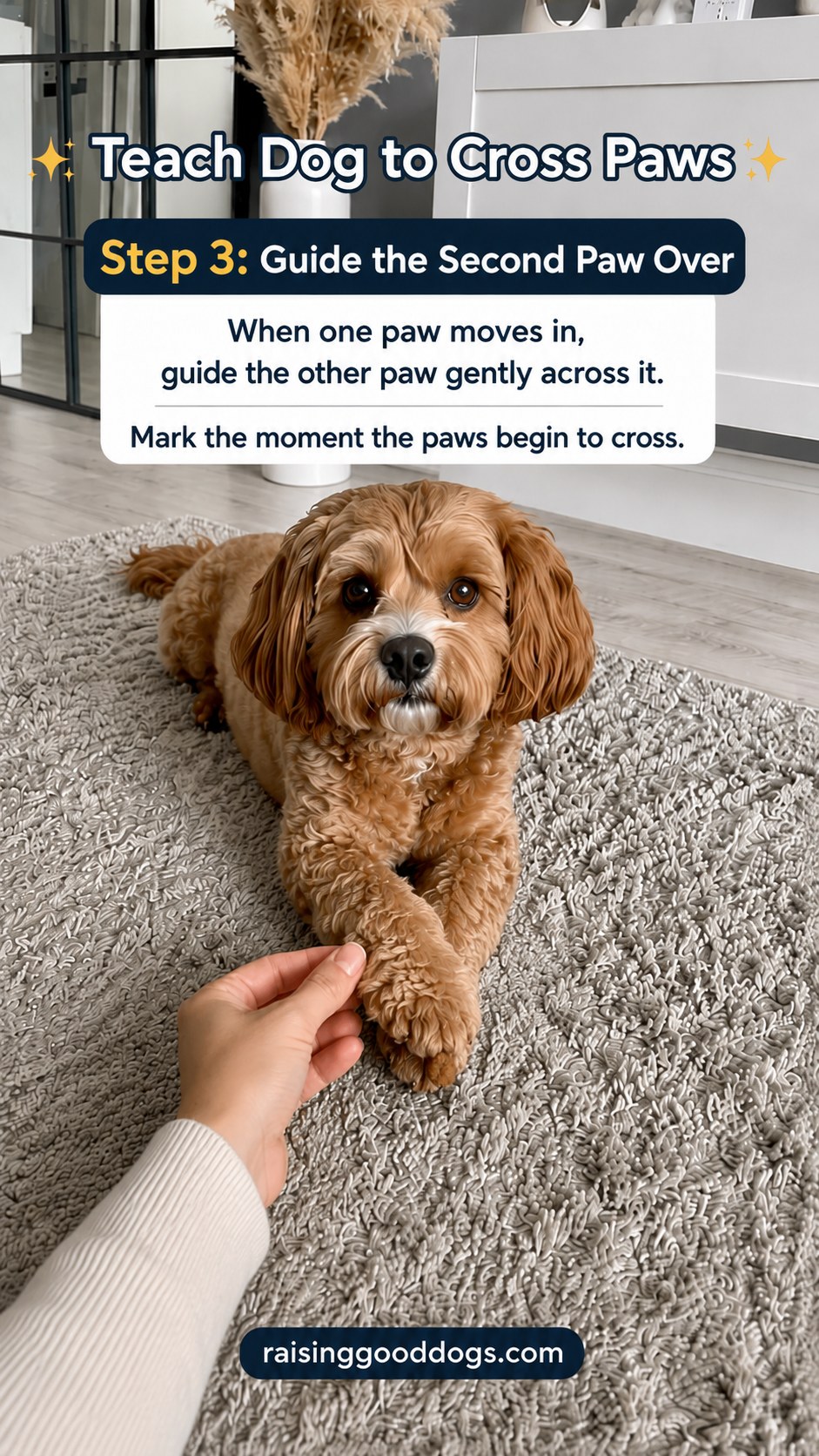 Hand gently guiding the second paw across the first while teaching dog cross paws