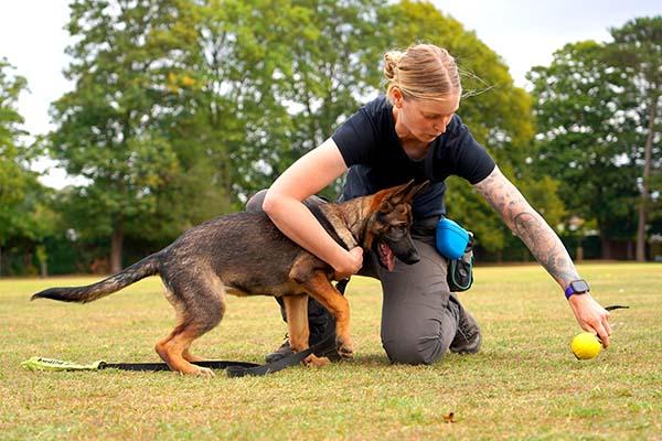 Dog fetching toy with owner