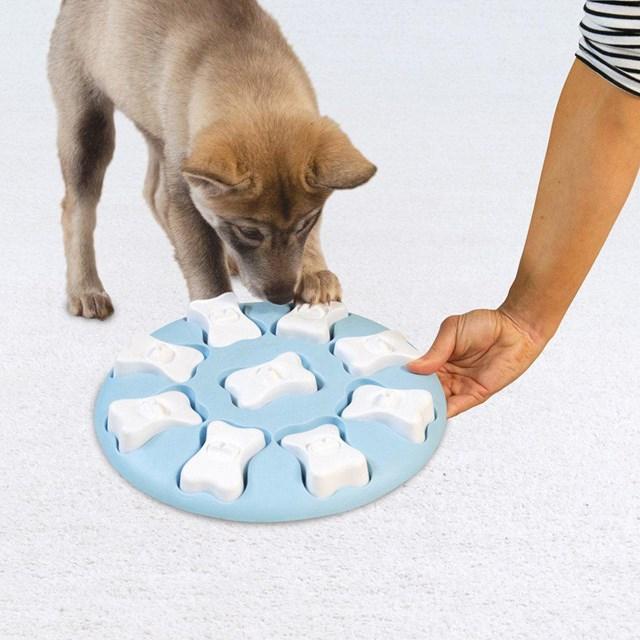 Puppy finding hidden treats