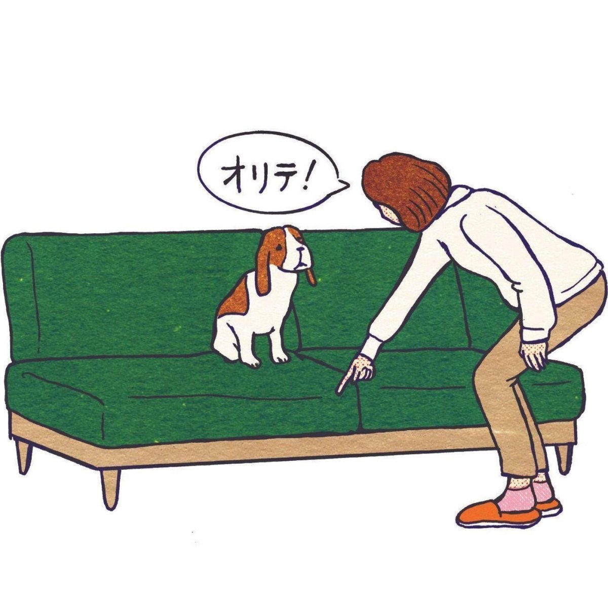 Puppy learning off command