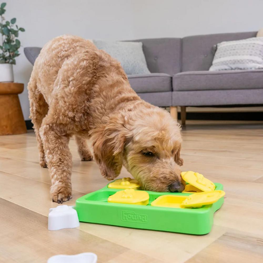 24 Dog Enrichment Ideas Indoors for Busy Days