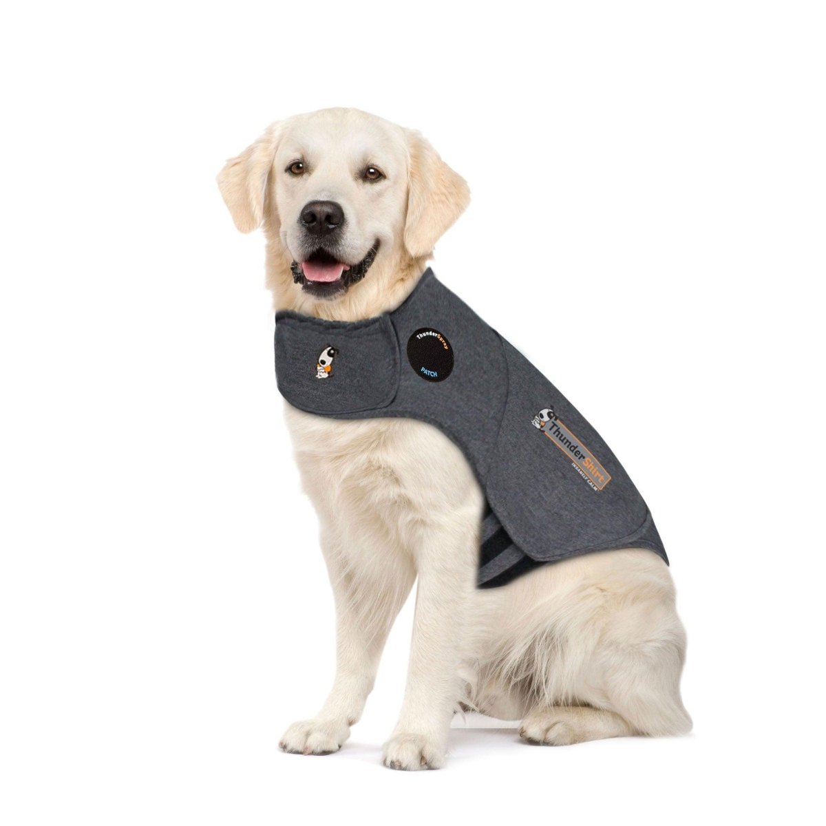 Best Dog Anxiety Vest Options for a Calmer Dog